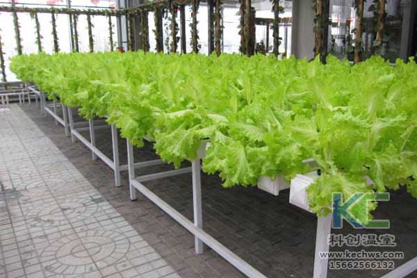 無(wú)土栽培,無(wú)土栽培技術(shù),無(wú)土栽培設(shè)備