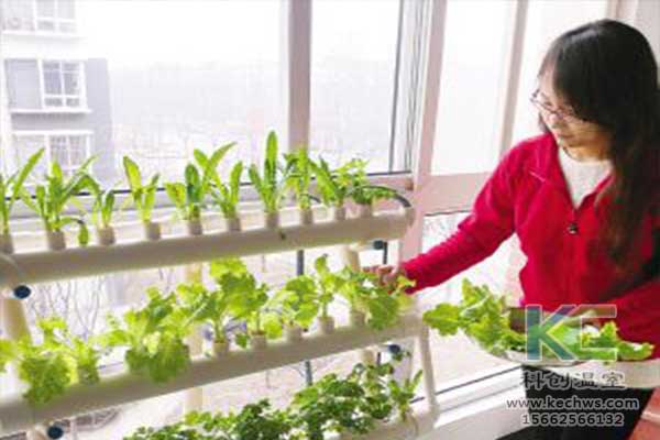 無土栽培，無土栽培技術，無土栽培設備