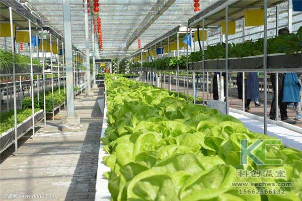 無(wú)土栽培，無(wú)土栽培技術(shù)，無(wú)土栽培設(shè)備