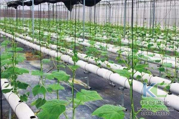 無土栽培，無土栽培技術，無土栽培設備