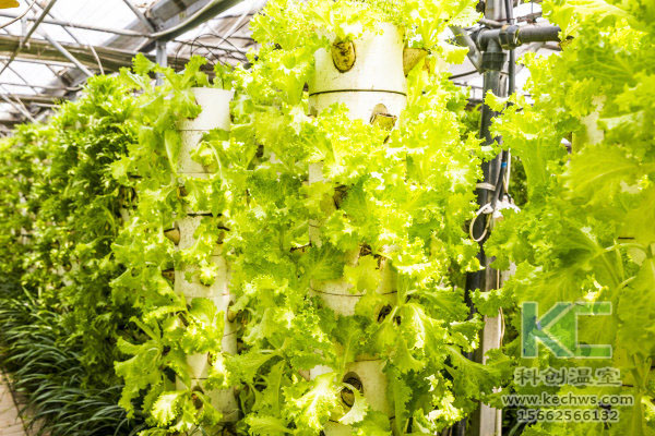 無土栽培，無土栽培技術(shù)，無土栽培設(shè)備