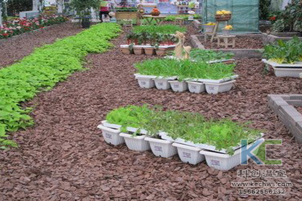 無(wú)土栽培技術(shù),無(wú)土栽培設(shè)備,無(wú)土栽培,溫室大棚