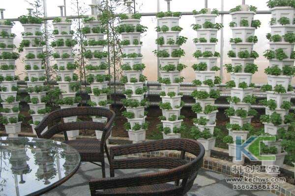 無土栽培，無土栽培技術(shù)，無土栽培設(shè)備