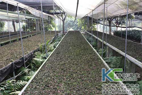 無(wú)土栽培，無(wú)土栽培技術(shù)，無(wú)土栽培設(shè)備