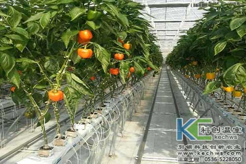 無土栽培，無土栽培技術，無土栽培設備