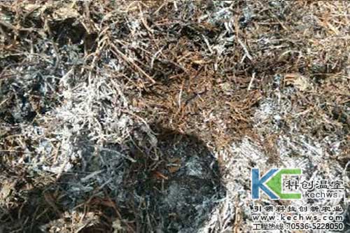 無土栽培，無土栽培技術，無土栽培設備