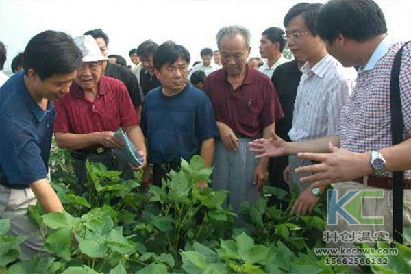 無土栽培，無土栽培技術(shù)，無土栽培設(shè)備