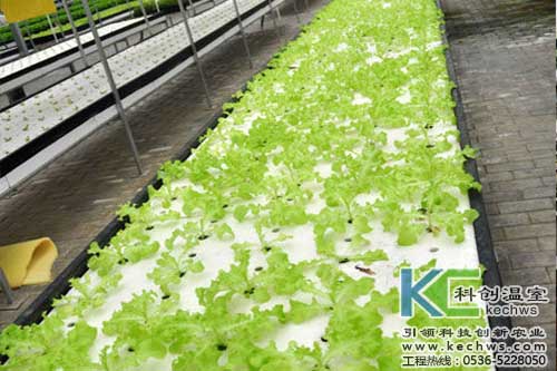 無土栽培，無土栽培技術，無土栽培設備