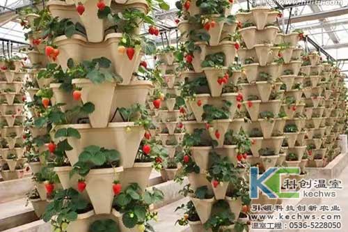 無土栽培，無土栽培技術，無土栽培設備