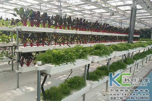 無土栽培，無土栽培技術，無土栽培設備