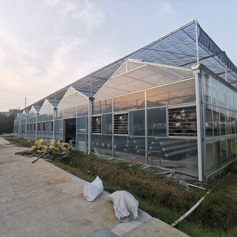 無土栽培,無土栽培技術,無土栽培設備