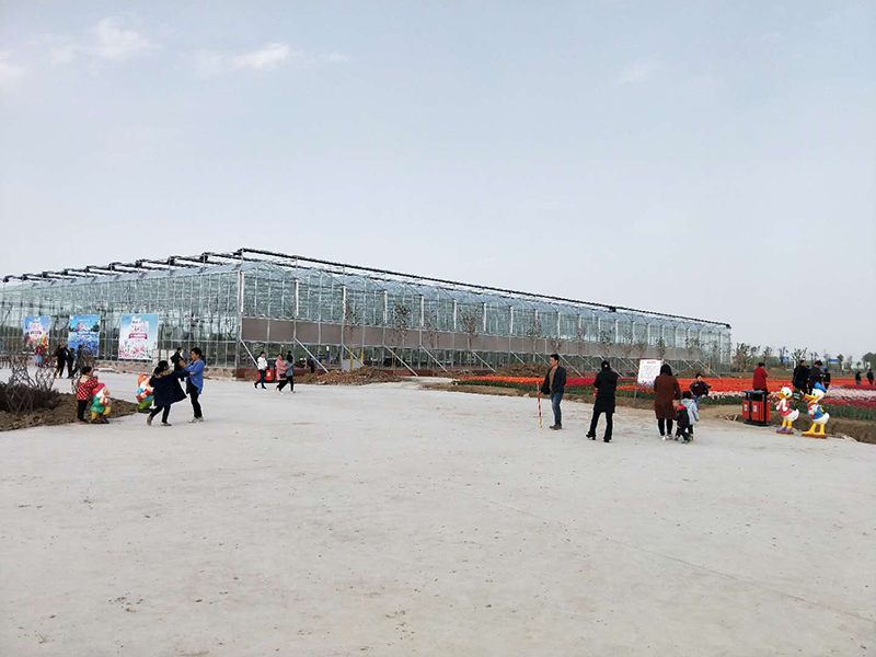 無土栽培,無土栽培技術(shù),無土栽培設(shè)備