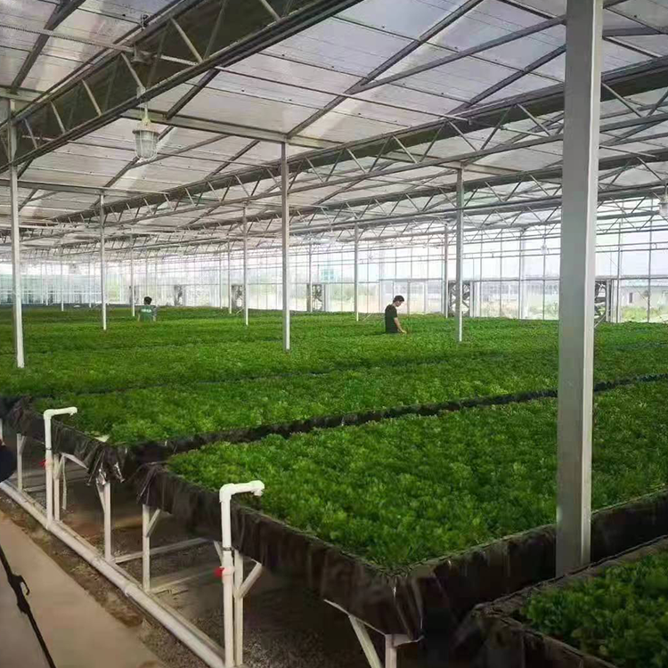 無土栽培，無土栽培技術，無土栽培設備