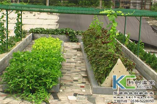 無(wú)土栽培，無(wú)土栽培技術(shù)，無(wú)土栽培設(shè)備