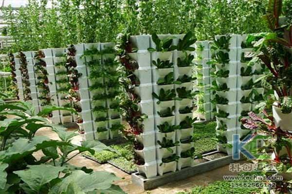 無土栽培，無土栽培技術(shù)，無土栽培設(shè)備