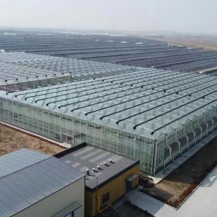 無土栽培，無土栽培技術，無土栽培設備