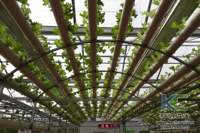 無土栽培，無土栽培技術(shù)，無土栽培設(shè)備