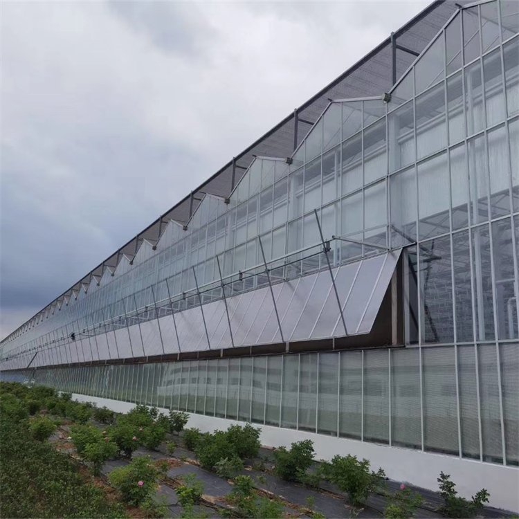 無土栽培，無土栽培技術，無土栽培設備