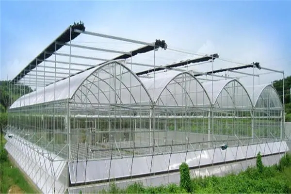 無土栽培，無土栽培技術，無土栽培設備