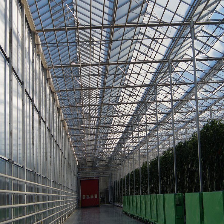 無土栽培，無土栽培技術，無土栽培設備