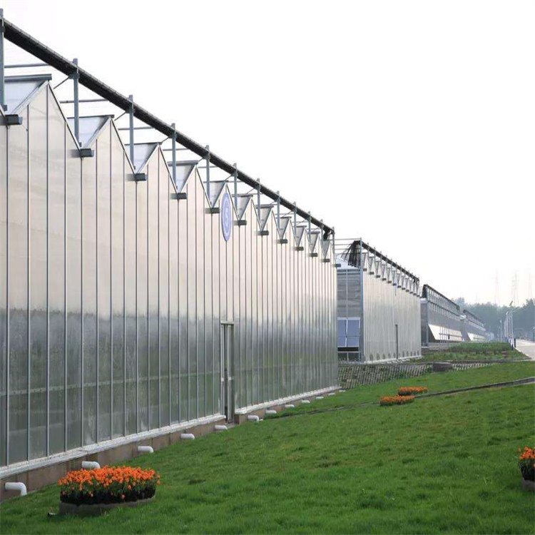 無土栽培,無土栽培技術(shù),無土栽培設(shè)備