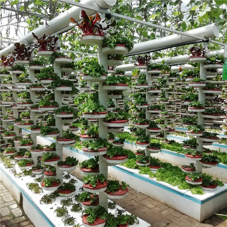 無土栽培，無土栽培技術，無土栽培設備