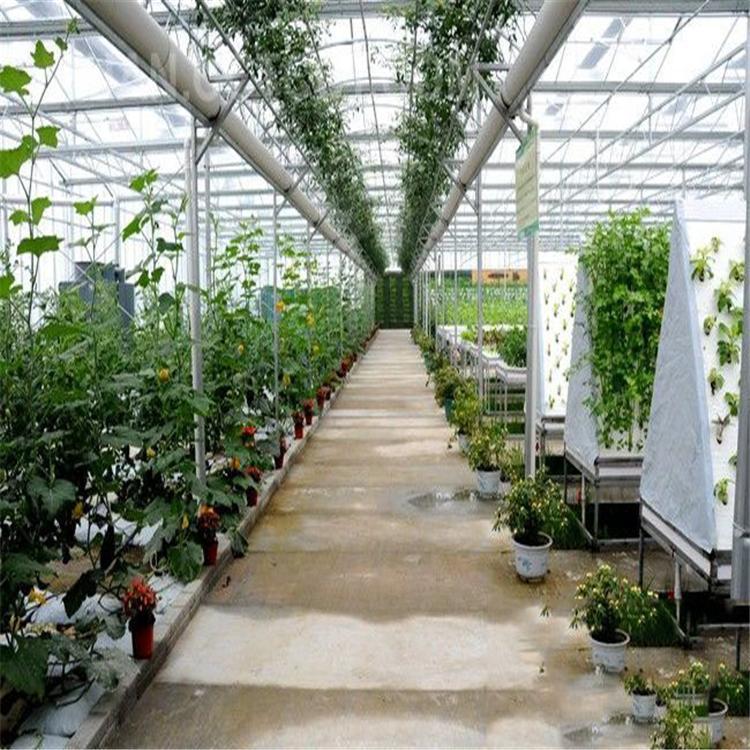 無土栽培，無土栽培技術，無土栽培設備