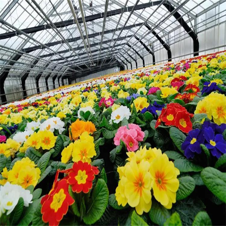 無土栽培，無土栽培技術，無土栽培設備