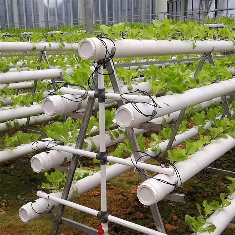 無土栽培,無土栽培技術(shù),無土栽培設(shè)備