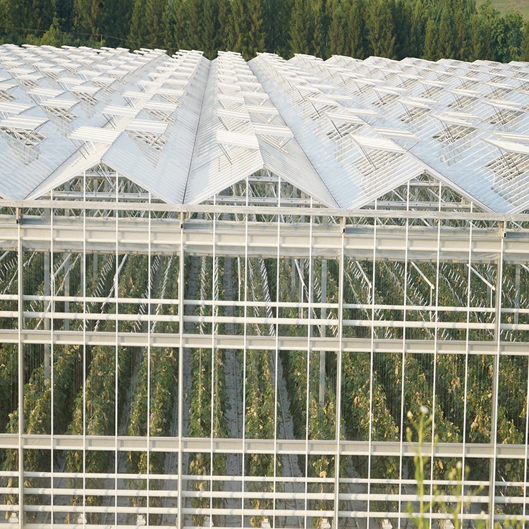 無土栽培，無土栽培技術，無土栽培設備