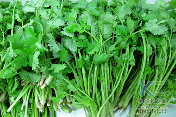 無土栽培，無土栽培技術，無土栽培設備