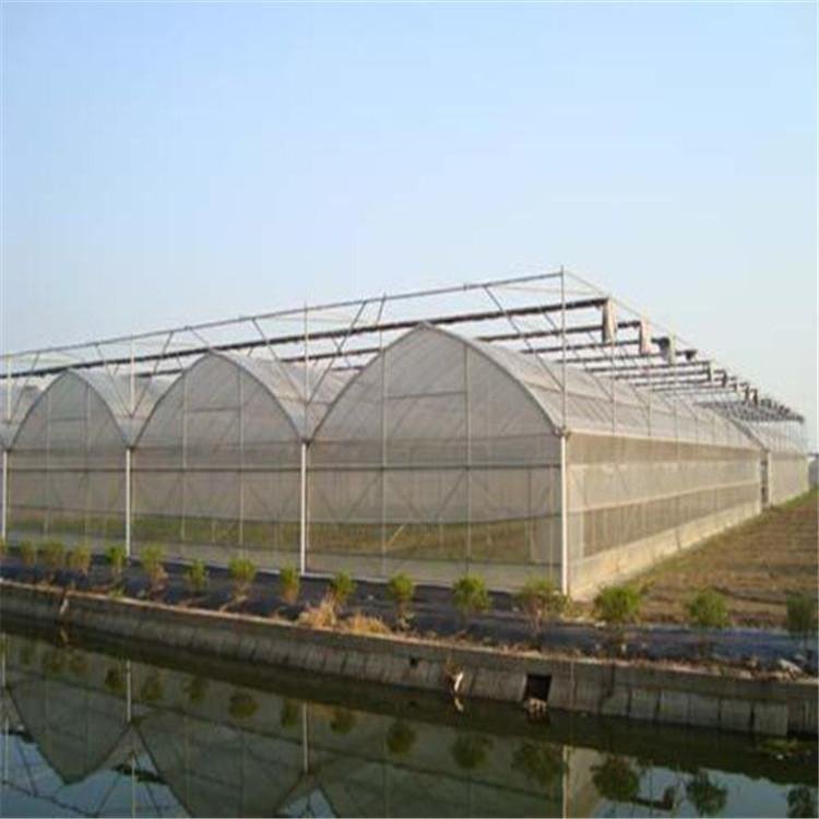 無土栽培,無土栽培技術(shù),無土栽培設(shè)備