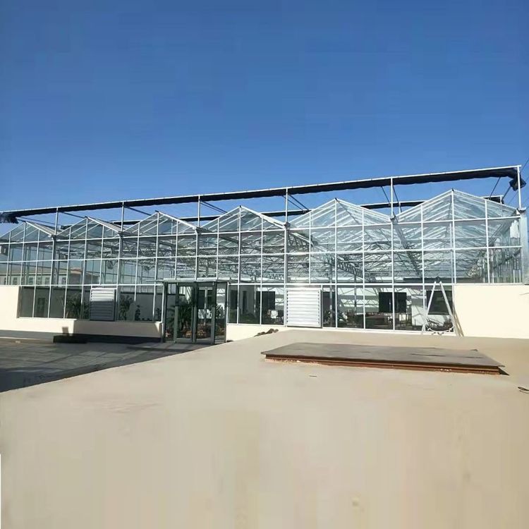 無土栽培,無土栽培技術(shù),無土栽培設(shè)備