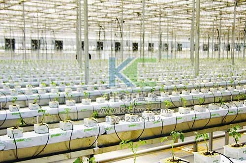 無(wú)土栽培，無(wú)土栽培技術(shù)，無(wú)土栽培設(shè)備