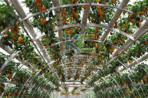 無土栽培，無土栽培技術，無土栽培設備