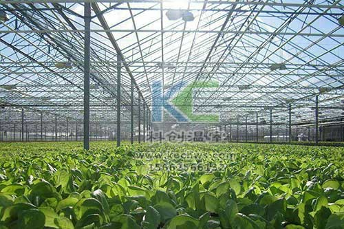 無土栽培,無土栽培技術(shù),無土栽培設(shè)備