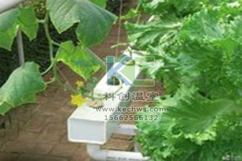 無(wú)土栽培，無(wú)土栽培技術(shù)，無(wú)土栽培設(shè)備