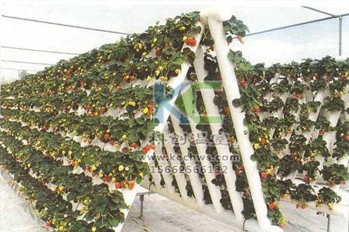 無(wú)土栽培，無(wú)土栽培技術(shù)，無(wú)土栽培設(shè)備