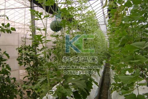 無土栽培，無土栽培技術(shù)，無土栽培設(shè)備