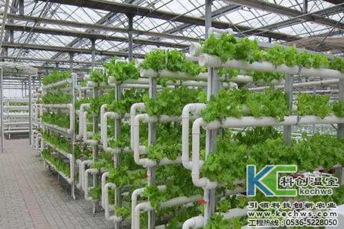 無土栽培，無土栽培技術，無土栽培設備
