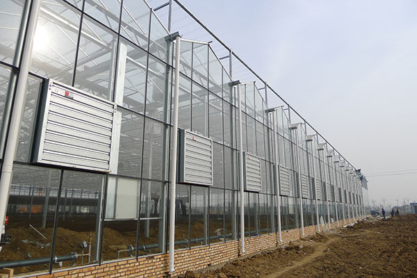 無土栽培，無土栽培技術(shù)，無土栽培設備