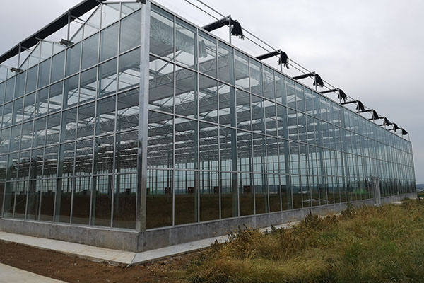 無土栽培，無土栽培技術，無土栽培設備