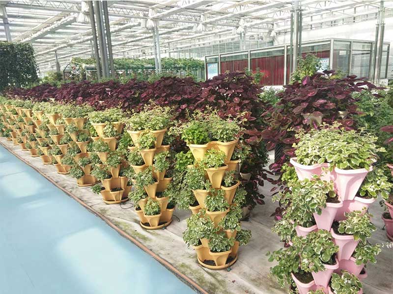 無土栽培，無土栽培技術(shù)，無土栽培設(shè)備