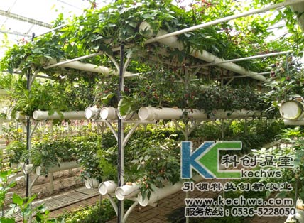 無(wú)土栽培，無(wú)土栽培技術(shù)，無(wú)土栽培設(shè)備